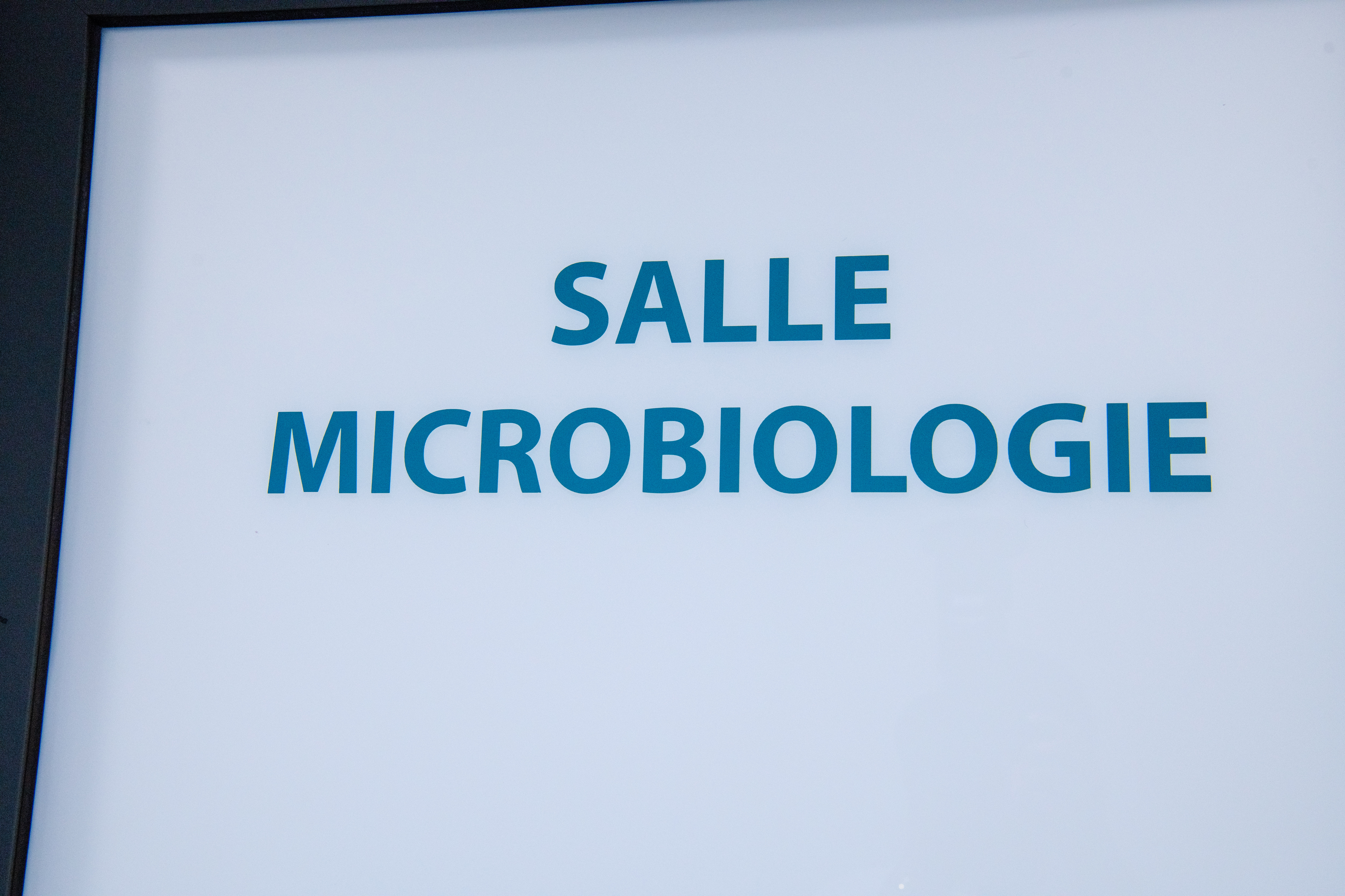 Microbiologie